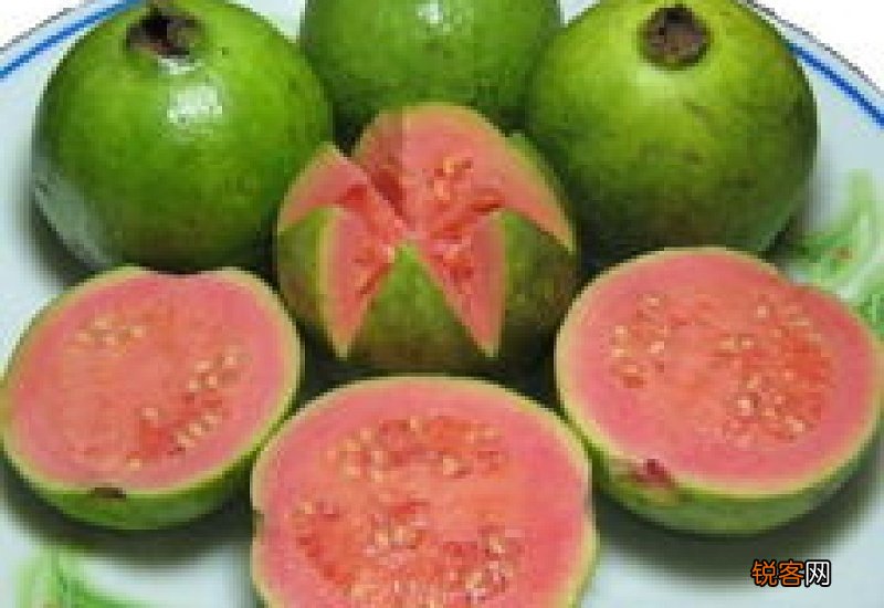 石榴是凉性还是热性的 四种人不适合吃番石榴