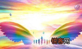 d是什么意思 d指的是什么