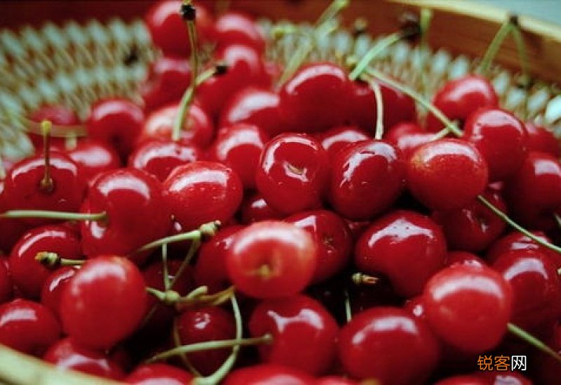 车厘子中毒吃什么解毒