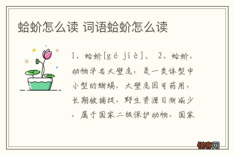 蛤蚧怎么读 词语蛤蚧怎么读