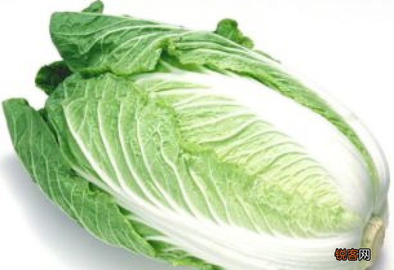 白菜和胡萝卜能一起吃吗