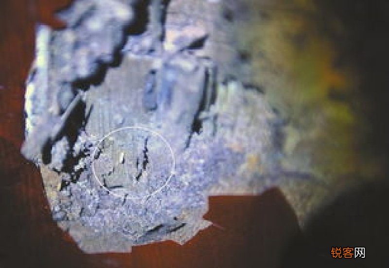 门框被白蚁蛀空了可以补吗