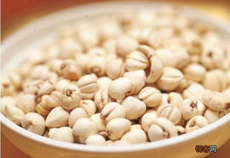 川贝枇杷膏治有痰还是干咳