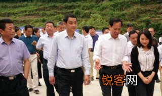 调研报告如何写 如何写调研报告