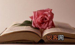 恩威并施这个成语是什么意思 恩威并施的解释