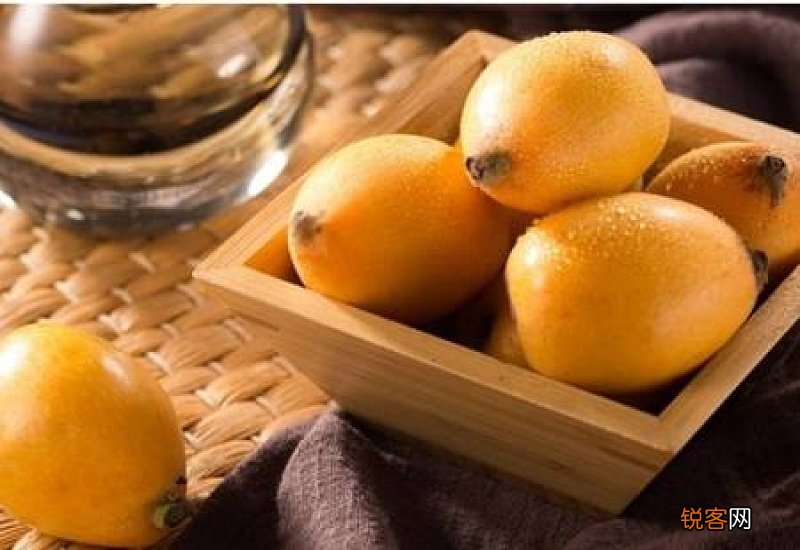 枇杷膏怎么熬制治咳嗽