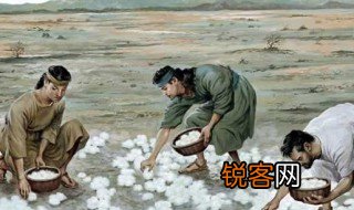 吗哪是什么意思 吗哪介绍