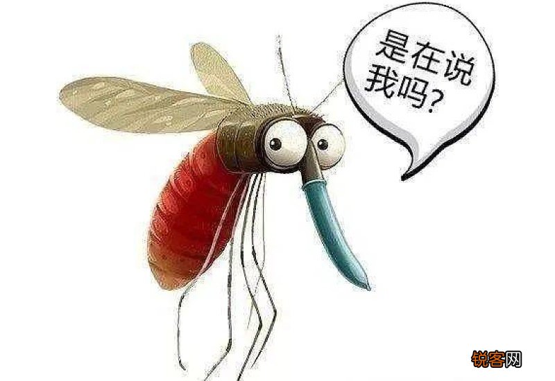 房间里有蚊子找不到怎么办