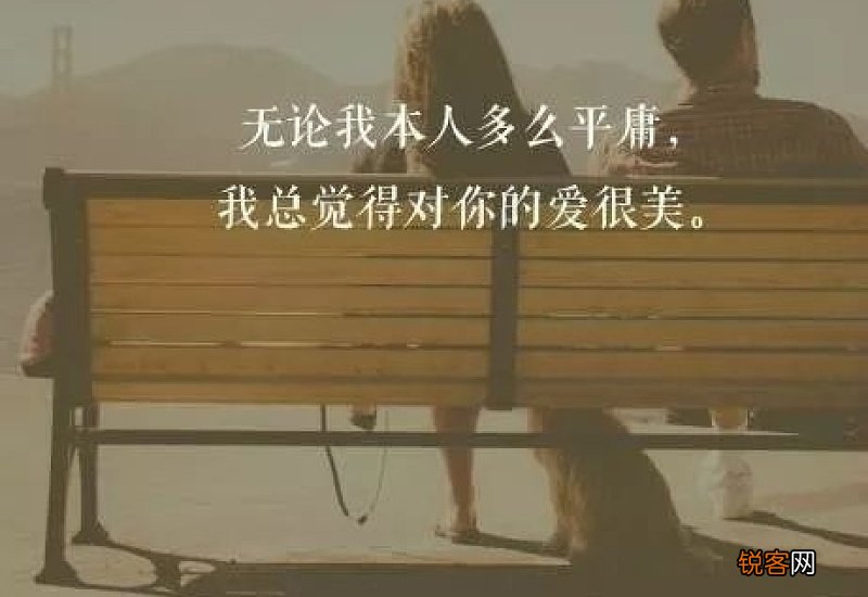 一丝不苟造句子九个字一句话
