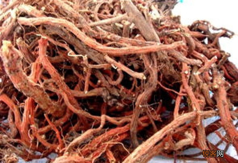 丹参吃了有什么好处