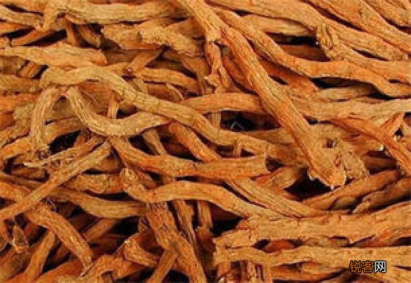 丹参怎么吃效果最好