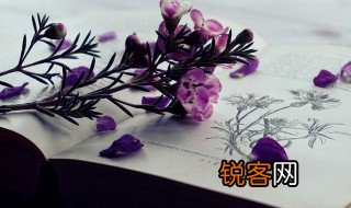 考研中同等学力是什么意思？ 考研中同等学力解释