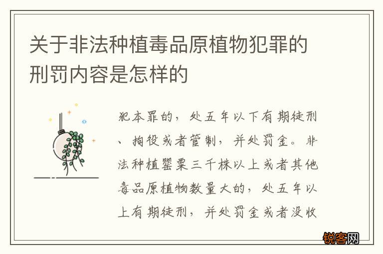 关于非法种植毒品原植物犯罪的刑罚内容是怎样的