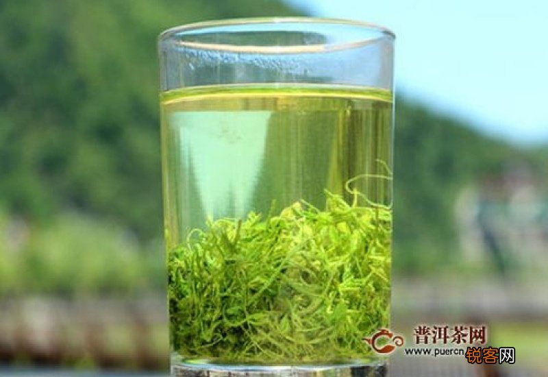 长期喝绞股蓝会伤肾吗