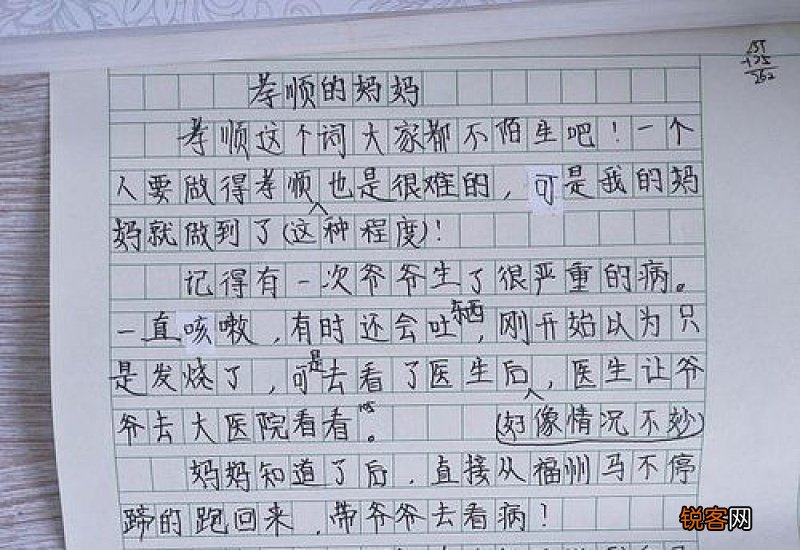 餐桌上的年味五年级作文