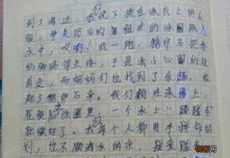 我的学校小学五年级300字作文