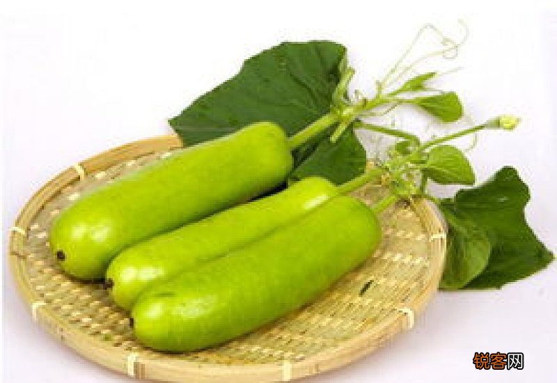 瓠子不能和什么同吃