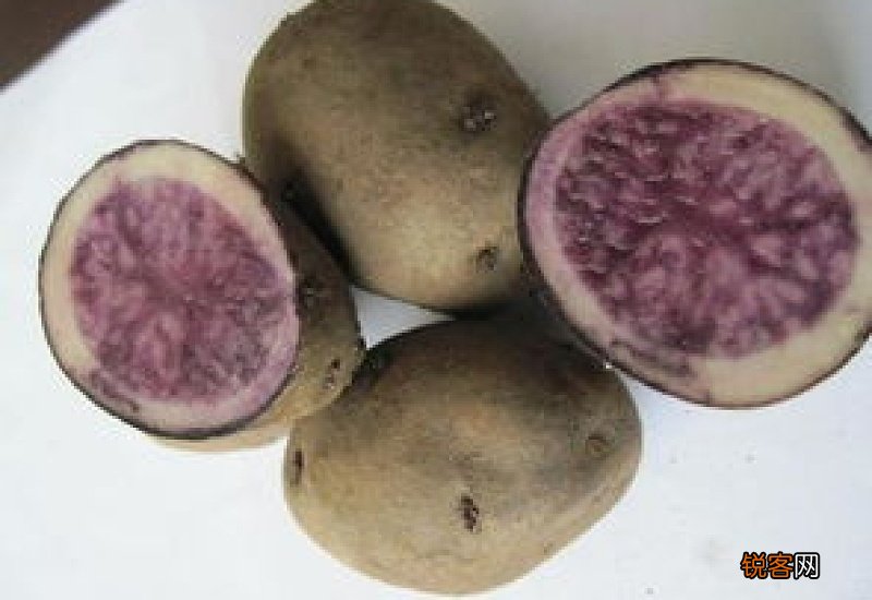 土豆里面发紫色还能吃吗