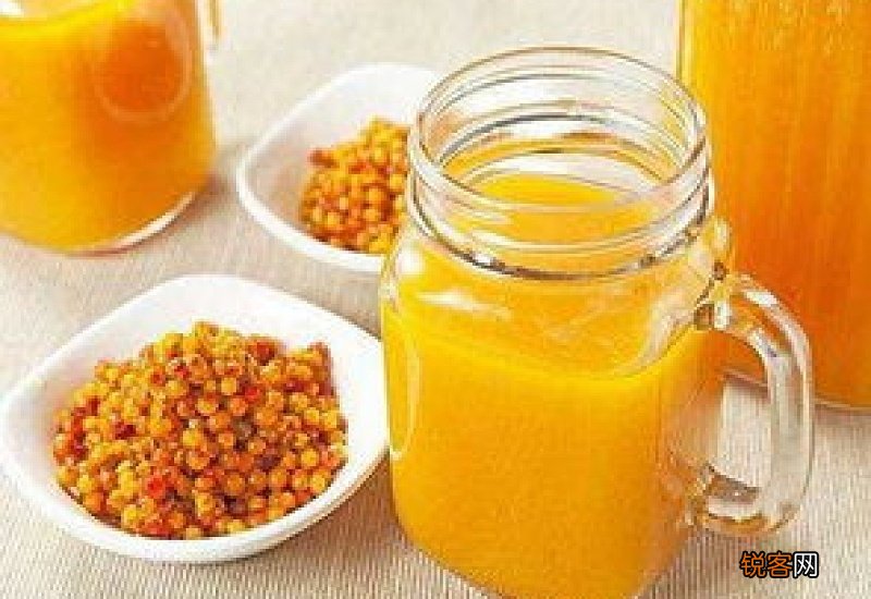 沙棘果怎么吃效果最好 泡酒榨果汁做果酱