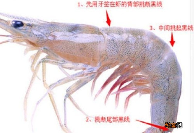 罗氏虾怎么去除虾线