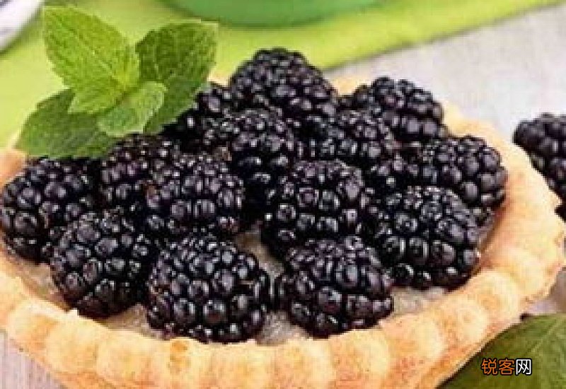 桑椹干能放冰箱冷冻吗