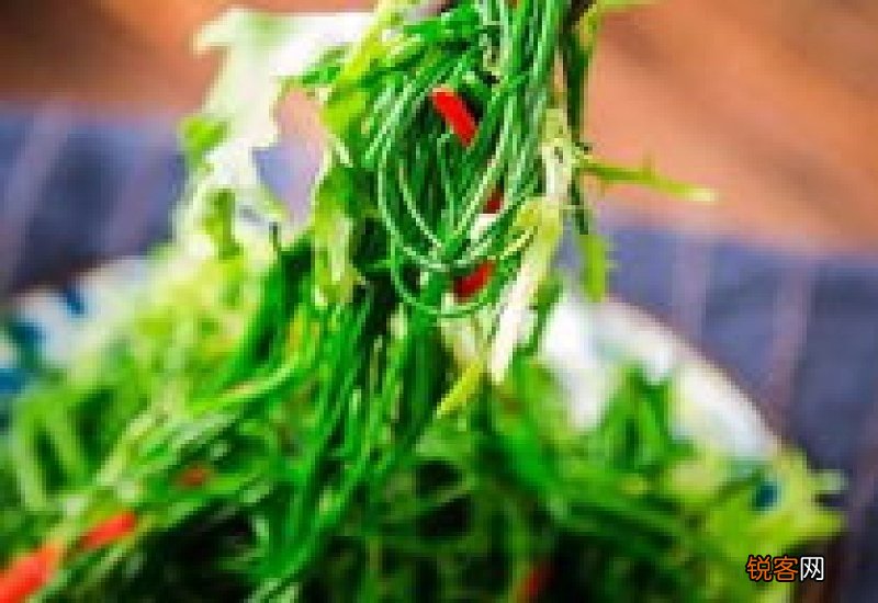 沙葱是哪里的特产 沙葱冷冻可以储存吗