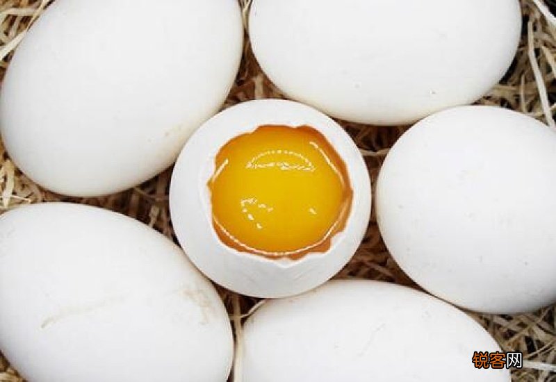 鹅蛋不能和什么蔬菜一起吃