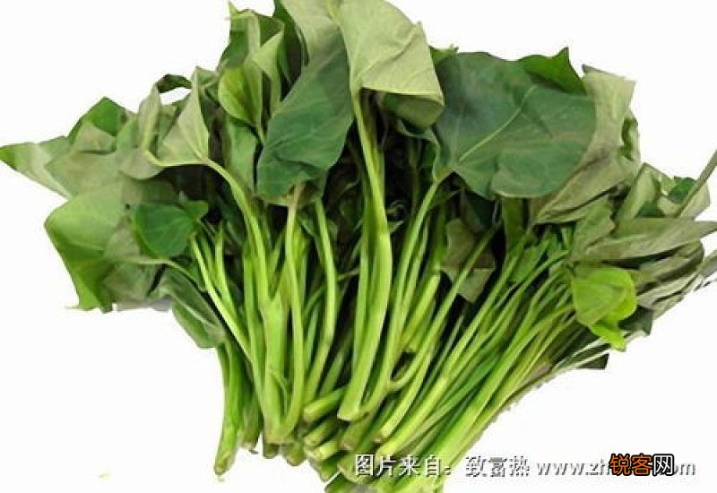 薯叶的功效与作用禁忌