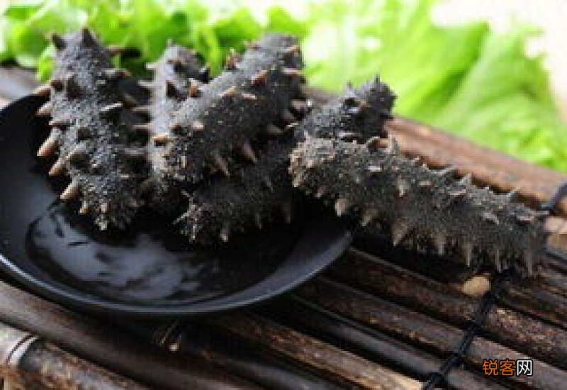 淡干海参价格一斤多少钱