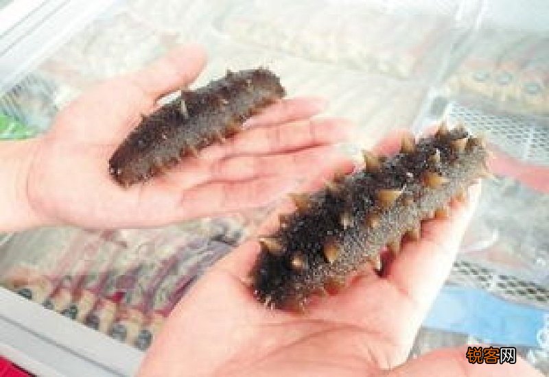 60头干海参一斤多少个