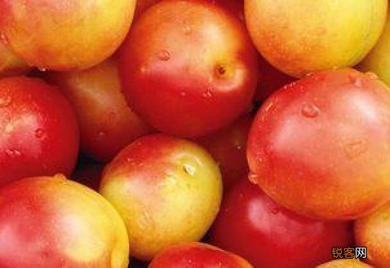 油桃有什么功效与作用 吃油桃有什么禁忌