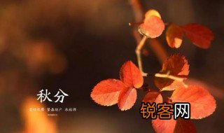 有关秋分的古诗 写秋分的古诗