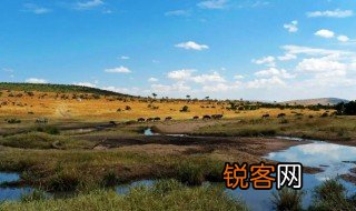 离赤道最近的国家 肯尼亚的简介