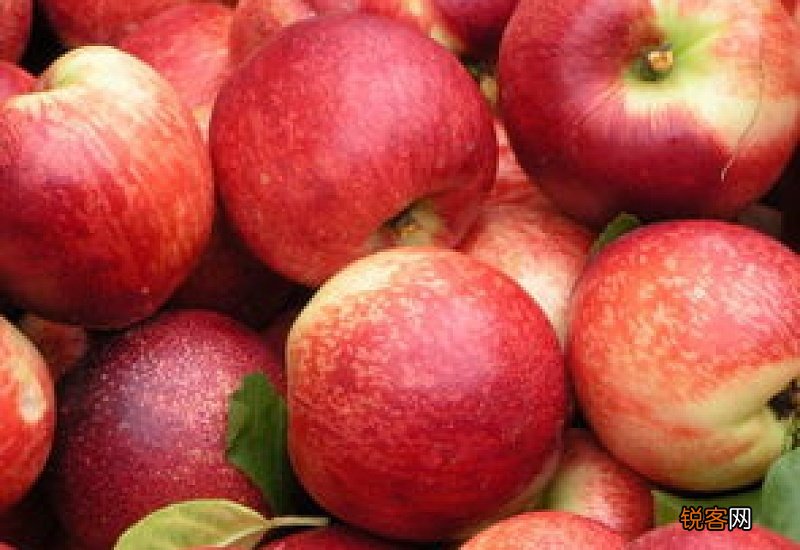 油桃的热量有多高 油桃的热量高吗