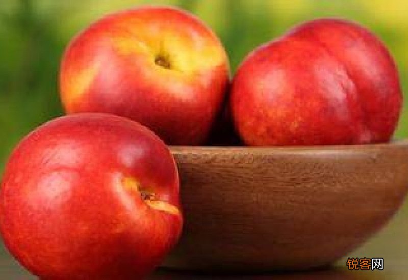 油桃的营养价值有哪些 油桃的营养价值及功效