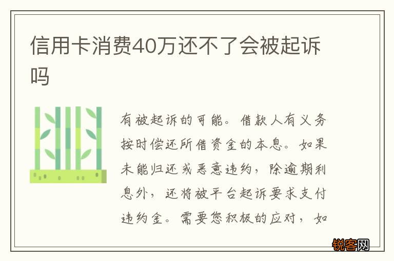 信用卡消费40万还不了会被起诉吗