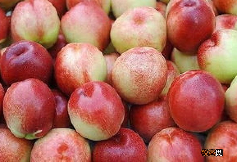 油桃的营养有什么价值 吃油桃有哪些禁忌