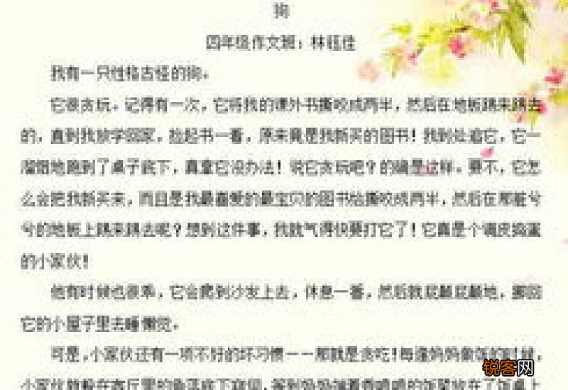 五年级读后感作文