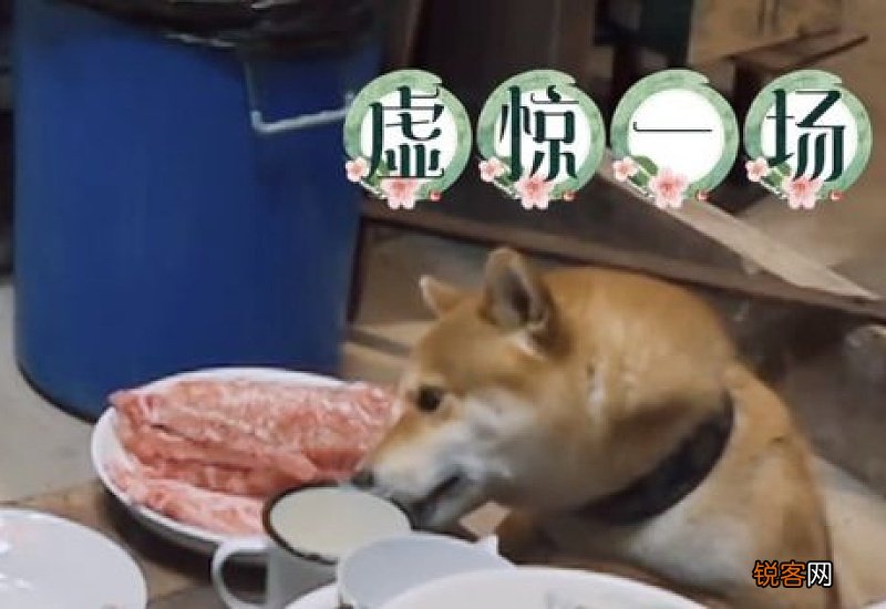 香肠被猫叼走扔掉了然后剩下的能吃吗