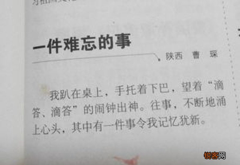生活中的启示小学五年级作文600字
