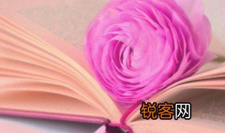 荀的拼音 荀的组词