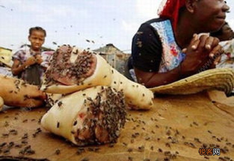 腊鱼被苍蝇叮过了还能吃吗