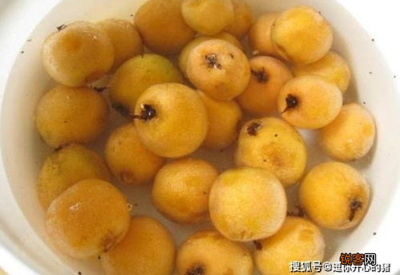 枇杷吃不完怎么保存