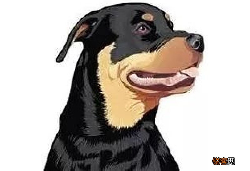 小奶狗爪子上有狂犬病毒吗