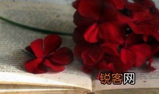 从的拼音 从的组词