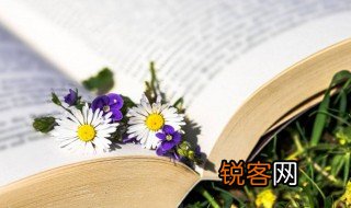 点缀的拼音 点缀的拼音及解释